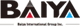https://www.baiyainc.com/investors-overview
