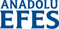 https://www.anadoluefes.com/en/sayfa/1/658/financial-results