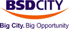 https://bsdcity.com/investor